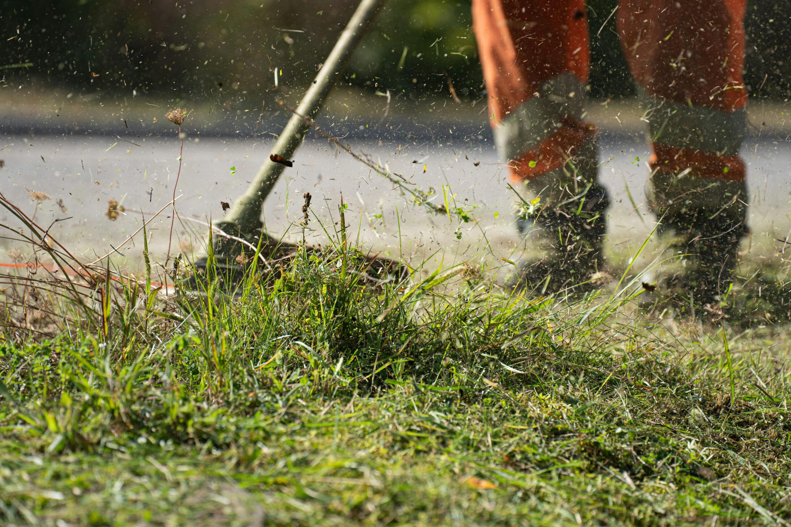 Landscaping Services